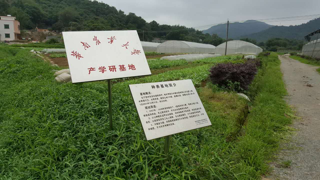 沼液沼渣用來(lái)種植有機(jī)蔬菜經(jīng)典案例